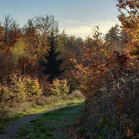 Loft Ziegelei Modautal