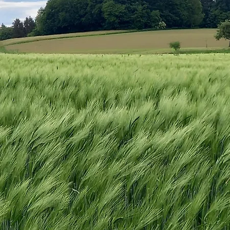 Appartement Loft Ziegelei