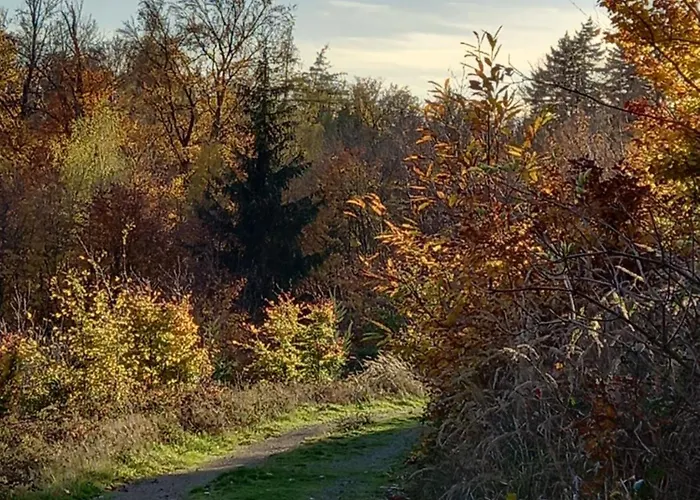 Loft Ziegelei Modautal