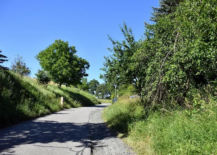 Loft Ziegelei Διαμέρισμα Modautal